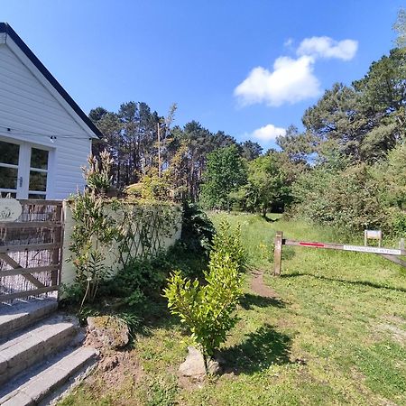 Chalet Cosy, Plages A Pieds. Morbihan. 普卢伊内克 外观 照片