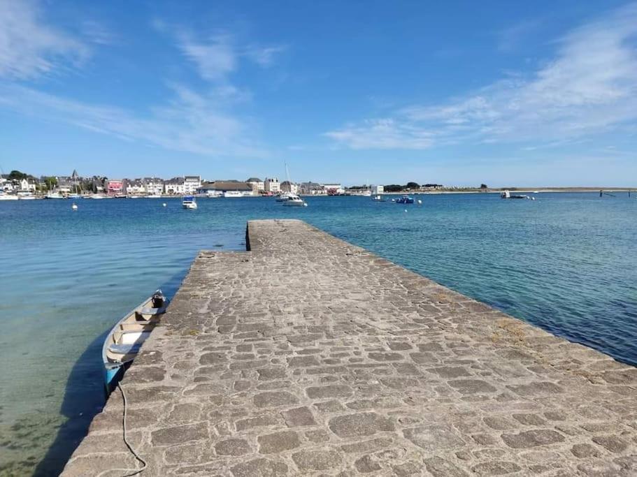 Chalet Cosy, Plages A Pieds. Morbihan. 普卢伊内克 外观 照片